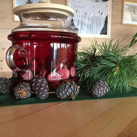 Rieglerhütte Apartment Sankt Lorenzen ob Murau