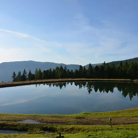 Riegleralm * Sankt Lorenzen ob Murau