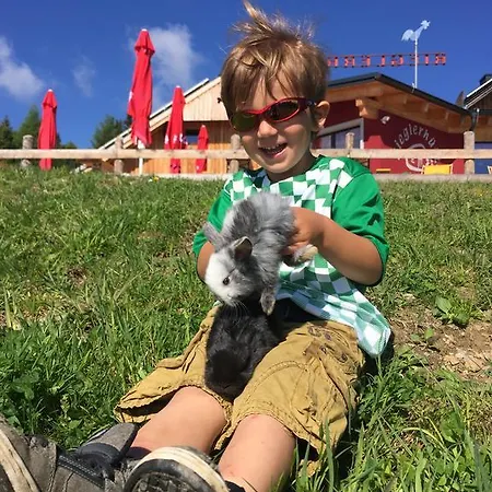 Riegleralm Appartamento *