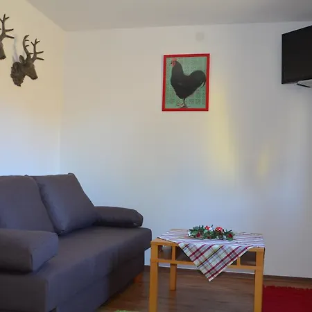 Apartment Rieglerhütte *