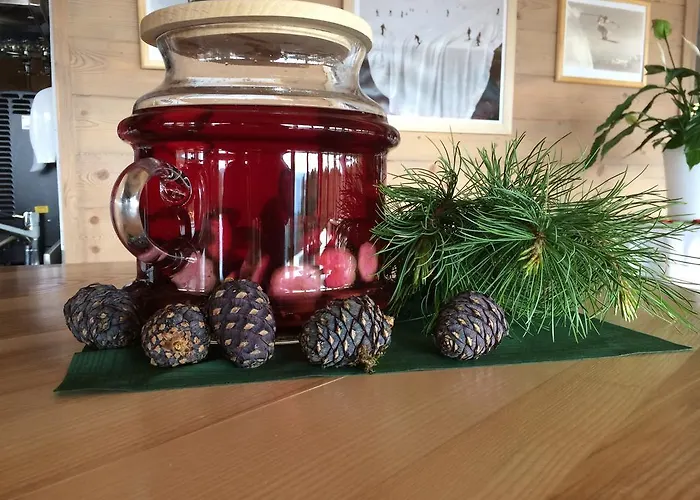 Riegleralm Апартаменты Санкт-Лоренцен-об-Мурау