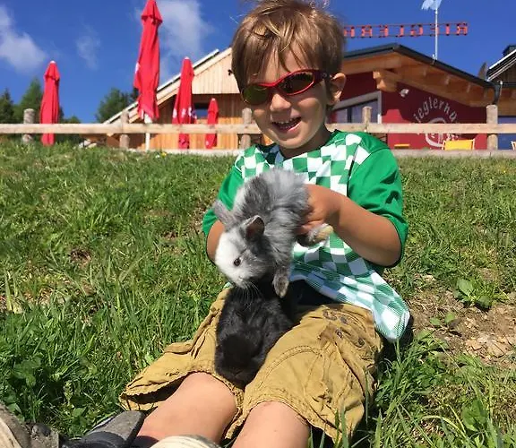 Riegleralm Appartement *