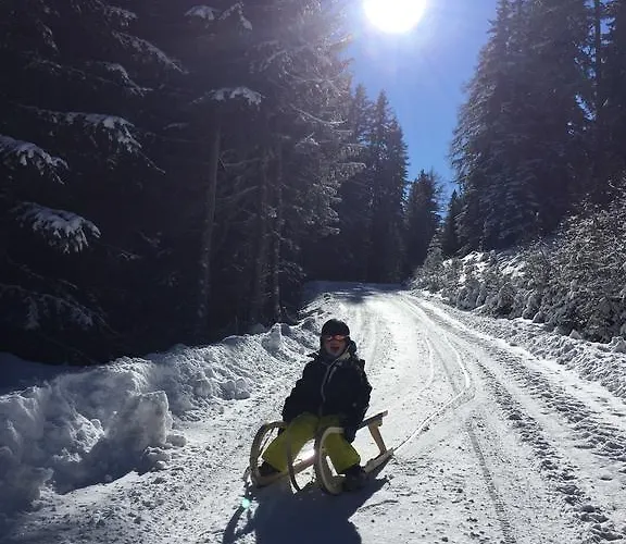 Riegleralm * Sankt Lorenzen ob Murau